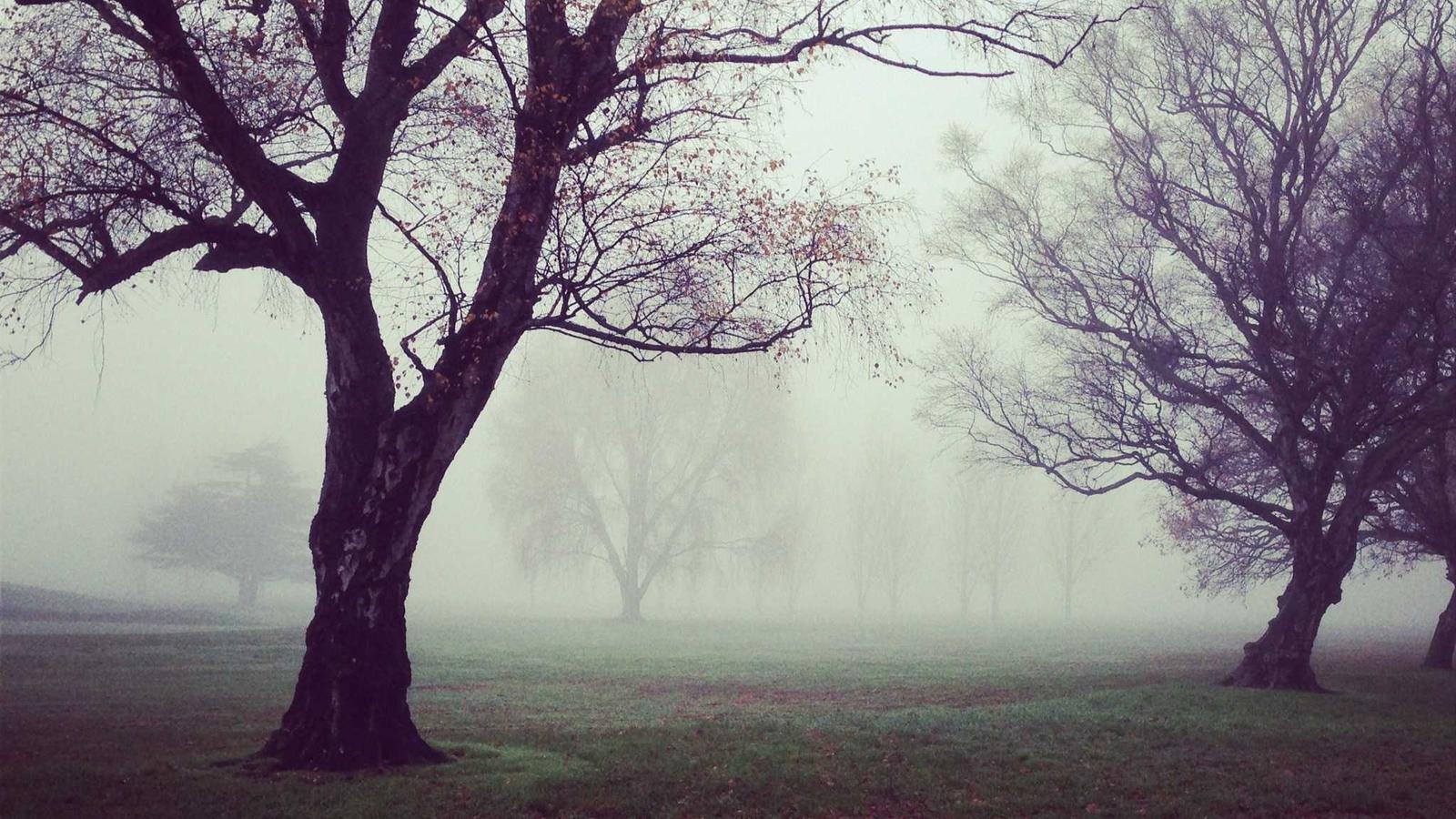 Chiến lược xây dựng thương hiệu cá nhân trên LinkedIn