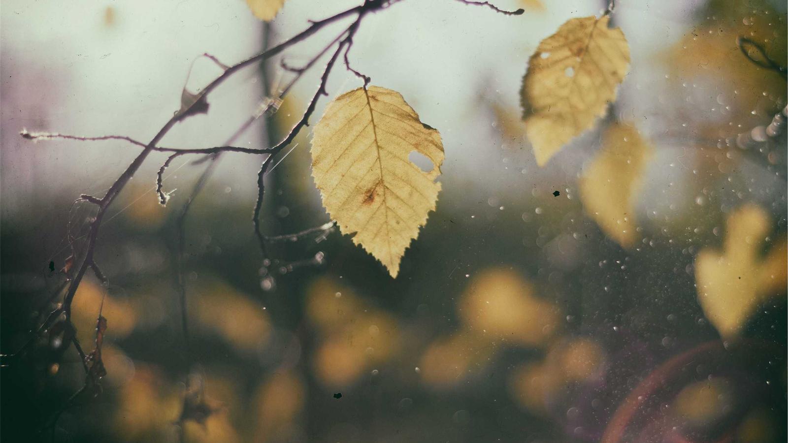 5 bí quyết vượt qua vòng phỏng vấn kỹ thuật tại Big Tech